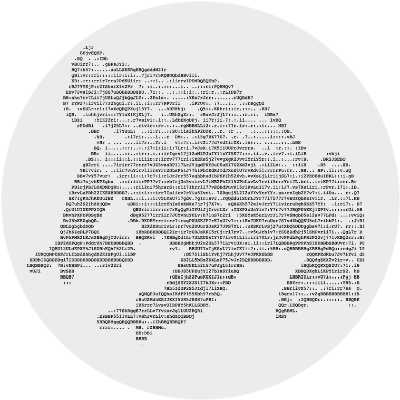 dao5