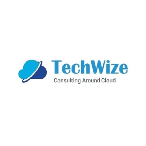 TechWize ITConsultancy