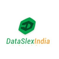 DataSlexIndia logo