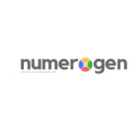 Numerogen Solutions logo