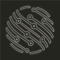 Netizen Capital logo