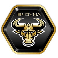 B* DYNA logo