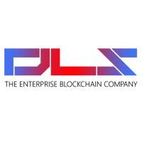 Digital Ledger Systems AG logo