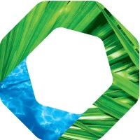 BMS Consulting logo