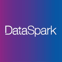 DataSpark logo