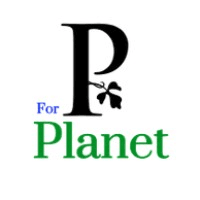 P For Plane logo