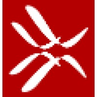 Morphing Machines logo