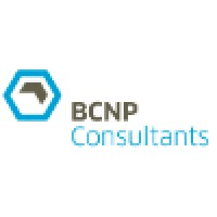BCNP Consultants GmbH logo