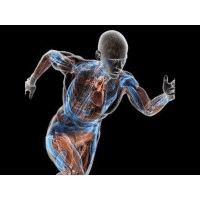 Coelho Tech Solutions  logo