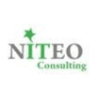 NITEO Consulting Ltd logo