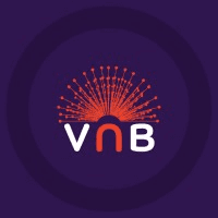 Virtual Nation Builders - VNB logo