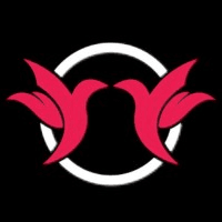 Dreams to Life, LLC logo