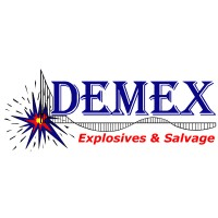 DEMEX International Inc logo
