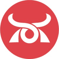 Ronin Data Solutions logo