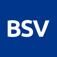 BSV Blockchain logo