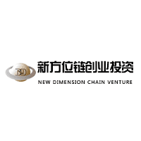 New Dimension Chain Venture logo