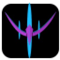 Wintam Place Consulting logo