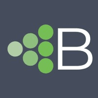 Brightmerge logo