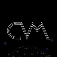 CRYPTO VS METALS LLC logo