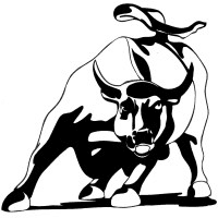 Internet Bull Report, Inc. logo