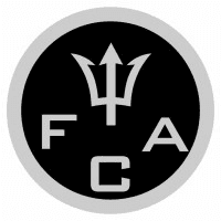 FlatStone Capital Advisors Ltd. – DLT Capital Markets STO Advisory logo