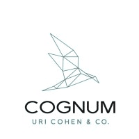 COGNUM Financial Consulting logo