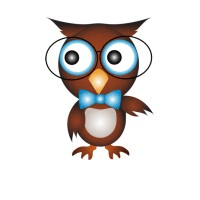 DigitalWise Media logo