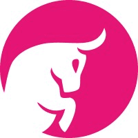 Leading Bull Solutions logo