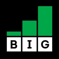 Belsona Investment Group logo