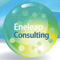 Eneleap Consulting logo