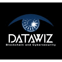 DataWiz Blockchain logo