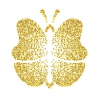 Zimbali Networks logo