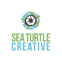 Sea Turtle Creative logo