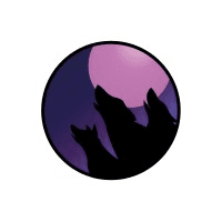 Pack Capital Limited logo