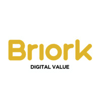 BRIORK Digital Value logo