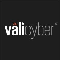 Vali Cyber logo