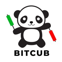 Bitcub logo