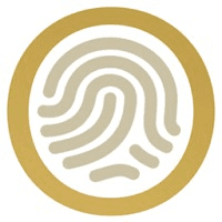 Midas Touch Consulting logo