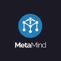 MetaMind logo
