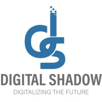 Digital Shadow IT logo