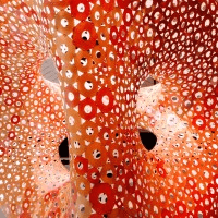 Howes Design Studio logo