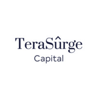 TeraSurge Capital logo