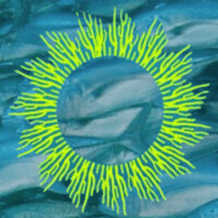 NewAtlantis Labs logo