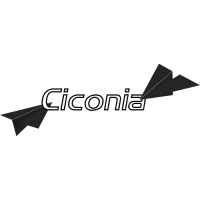 Ciconia Flights logo
