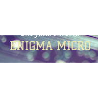 Enigma Micro logo