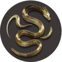 Dragon's Vault logo