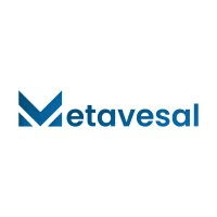 Metavesal logo