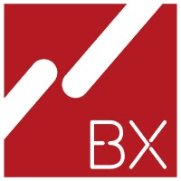 BX Swiss logo