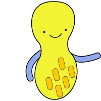 Peanut Protocol logo