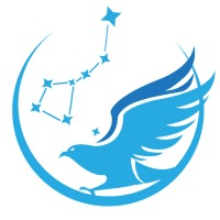 Cofintelligence Financial Technology Ltd. (CFTX) logo